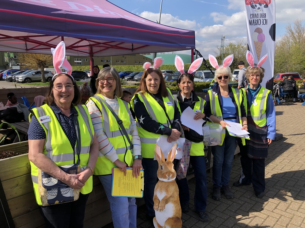 Bunny Helpers